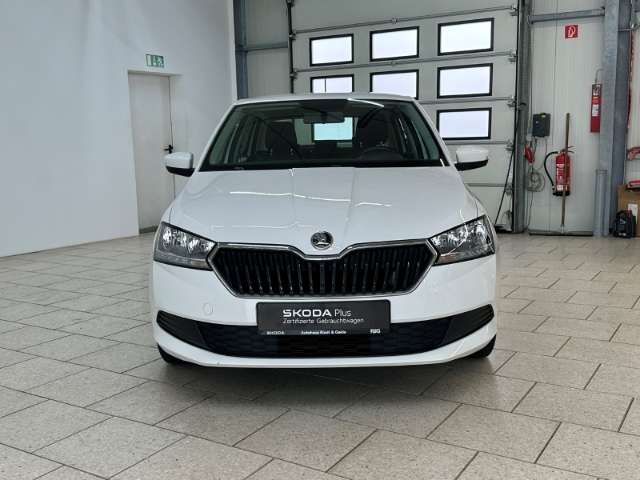 Fahrzeugbild eines Skoda Fabia
