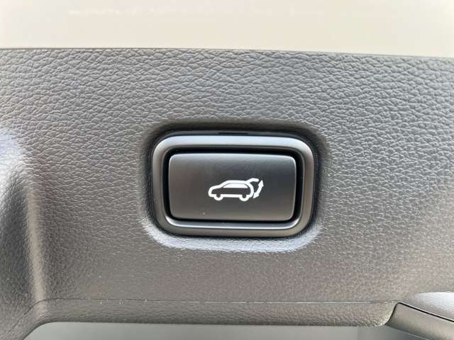 Fahrzeugbild eines Kia Sportage