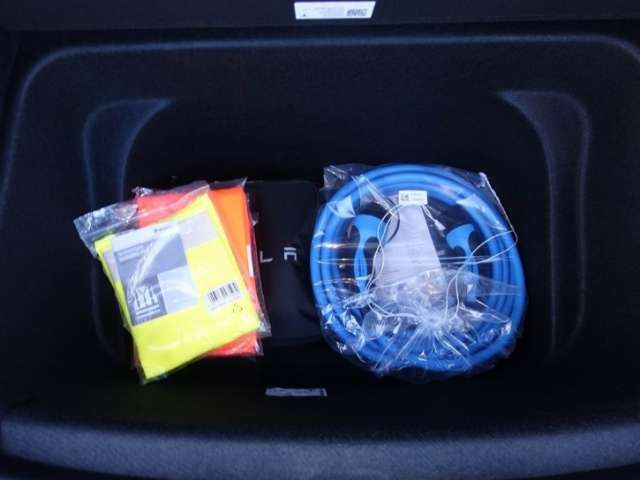 Fahrzeugbild eines TESLA Model Y