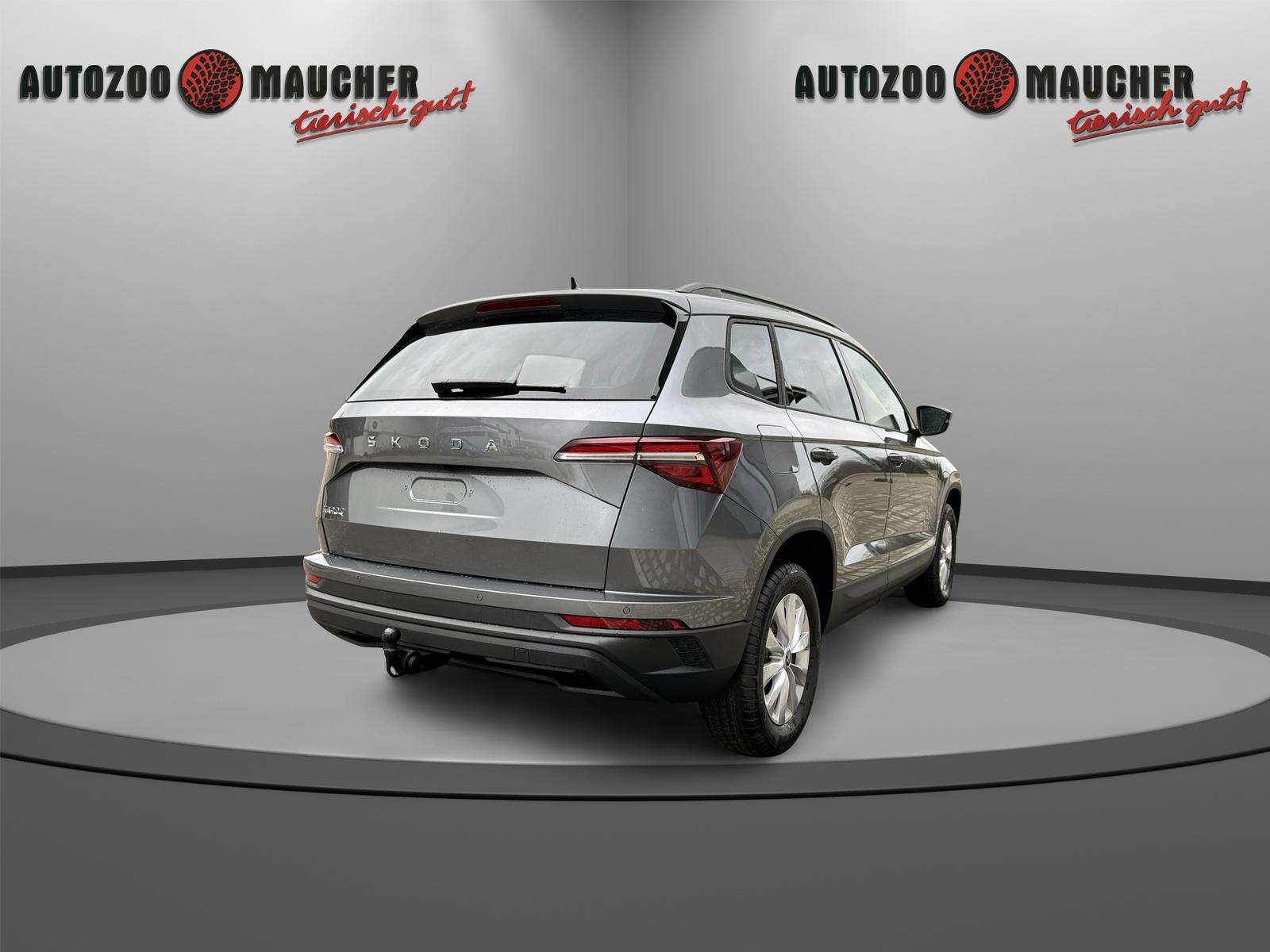 Fahrzeugbild eines Skoda Karoq