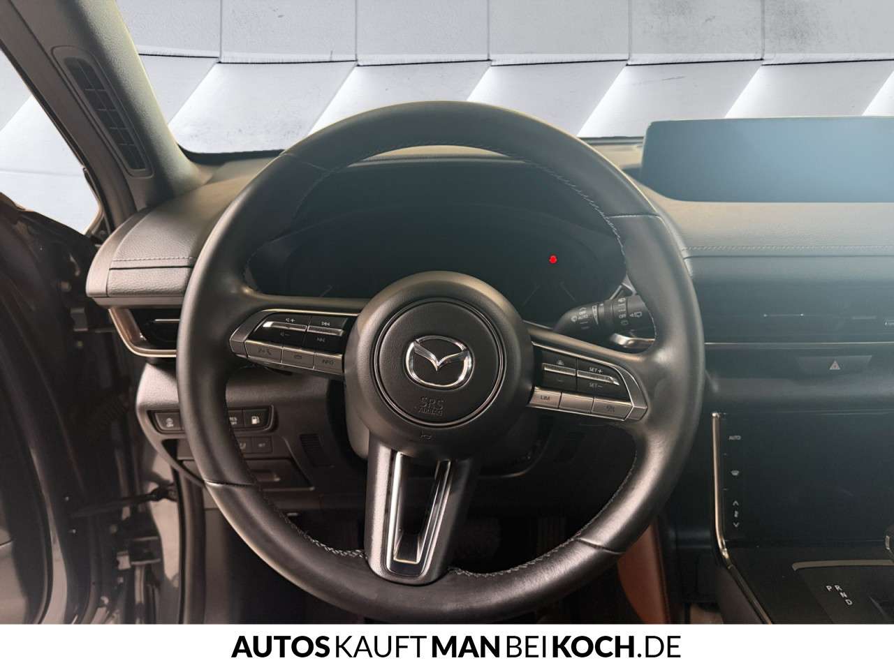 Fahrzeugbild eines Mazda MX-30