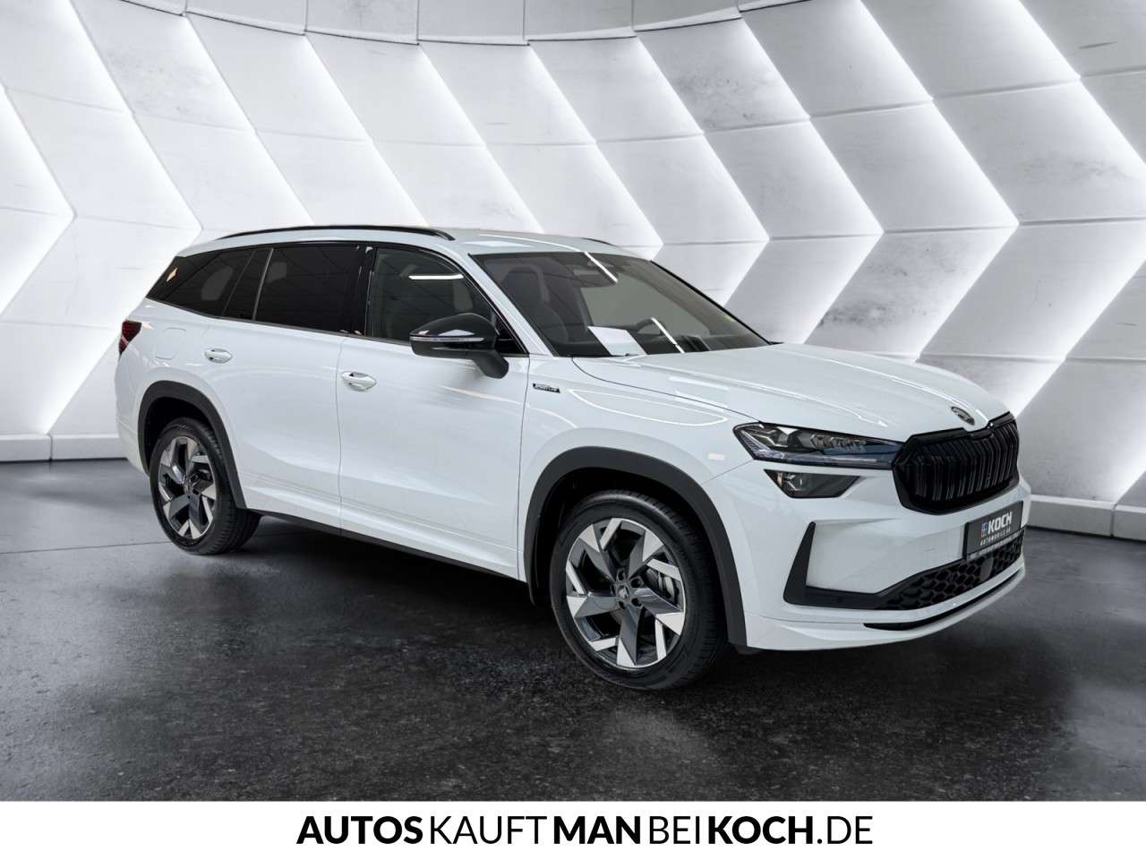 Fahrzeugbild eines Skoda Kodiaq