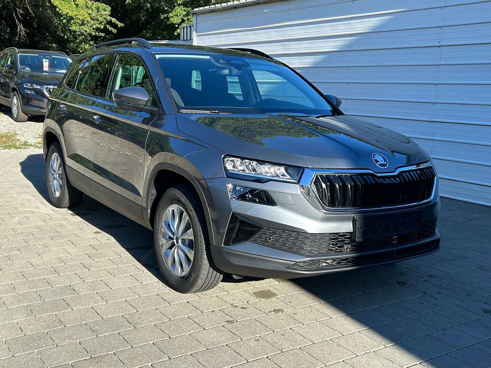 Fahrzeugbild eines Skoda Karoq