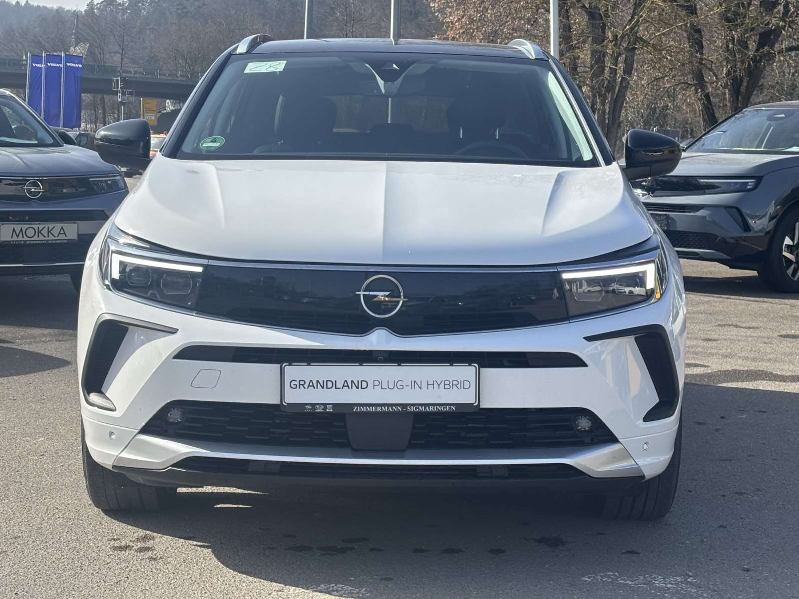 Fahrzeugbild eines Opel Grandland X