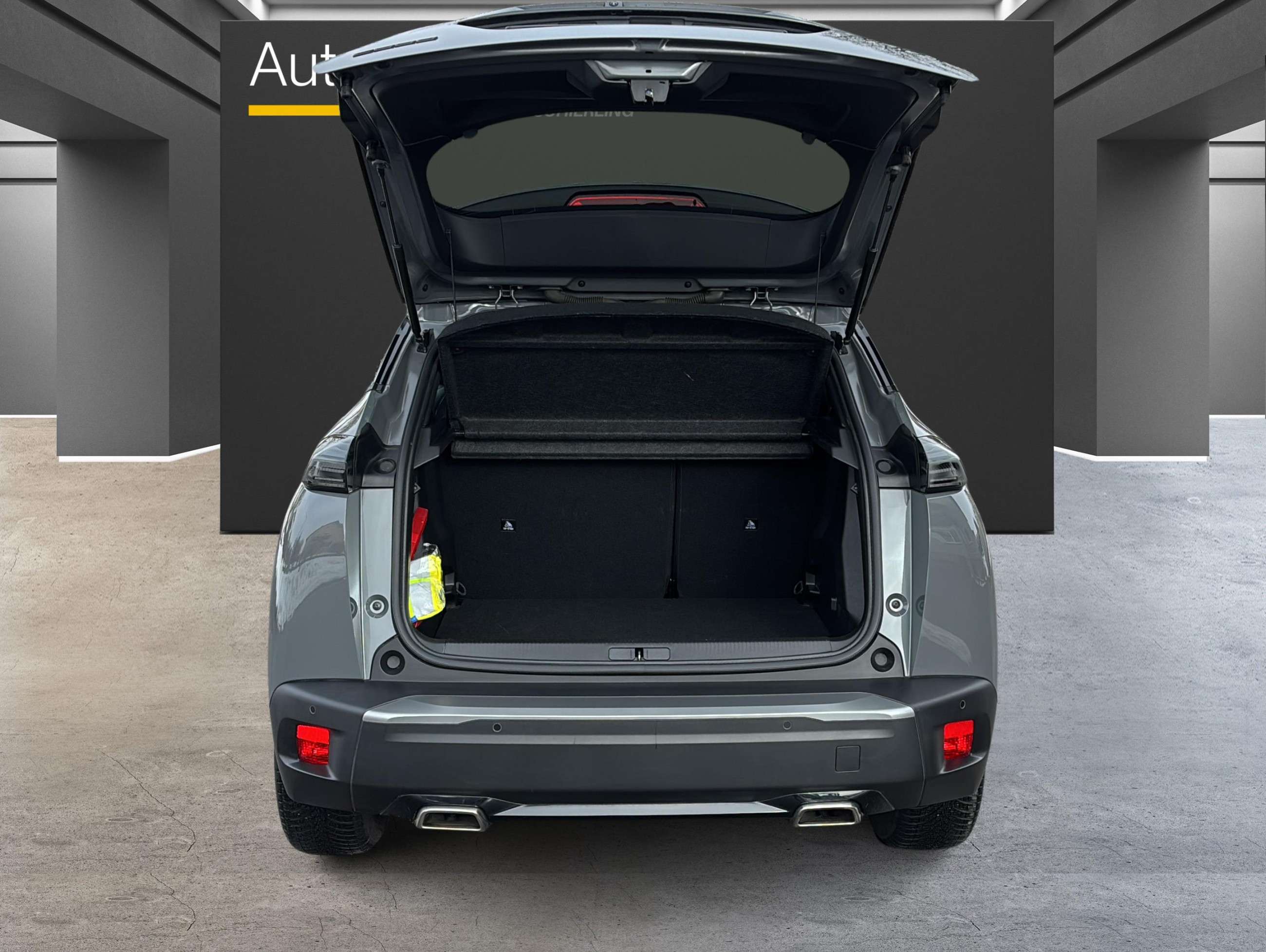 Fahrzeugbild eines Peugeot 2008