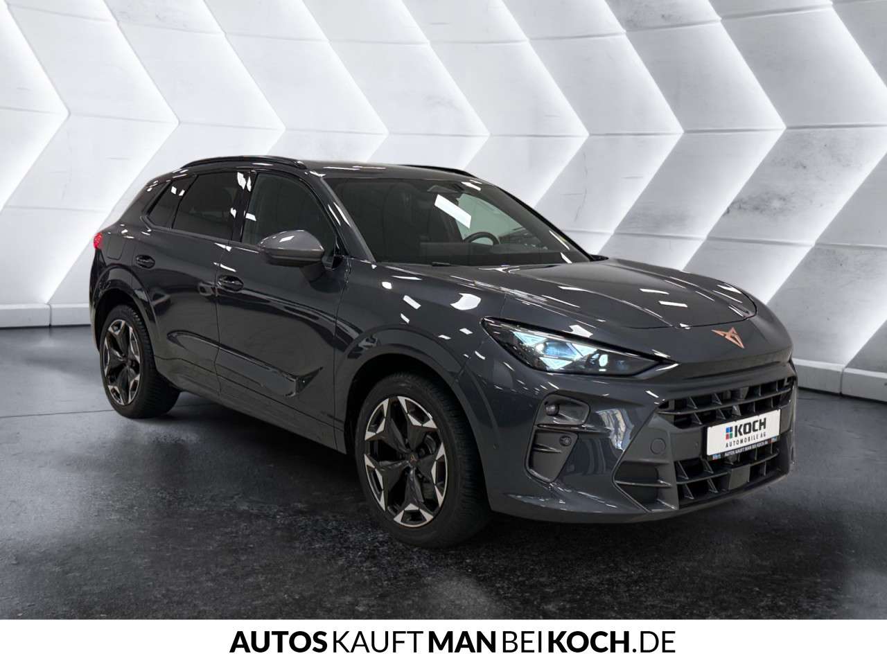 Fahrzeugbild eines CUPRA Terramar