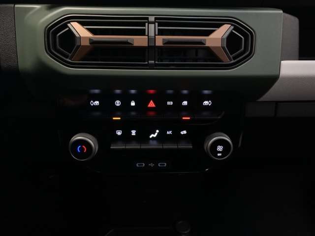 Fahrzeugbild eines Dacia Spring