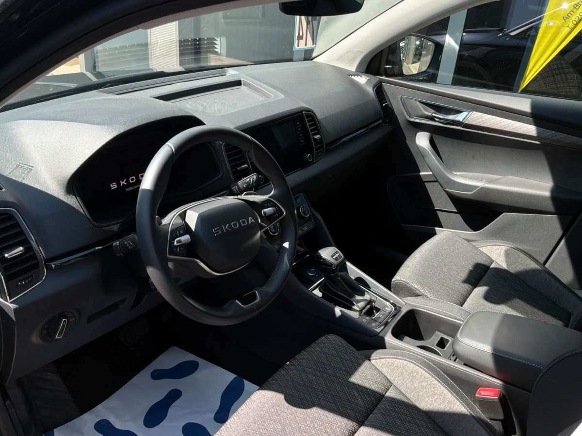 Fahrzeugbild eines Skoda Karoq