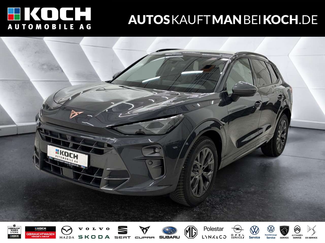 Fahrzeugbild eines CUPRA Terramar