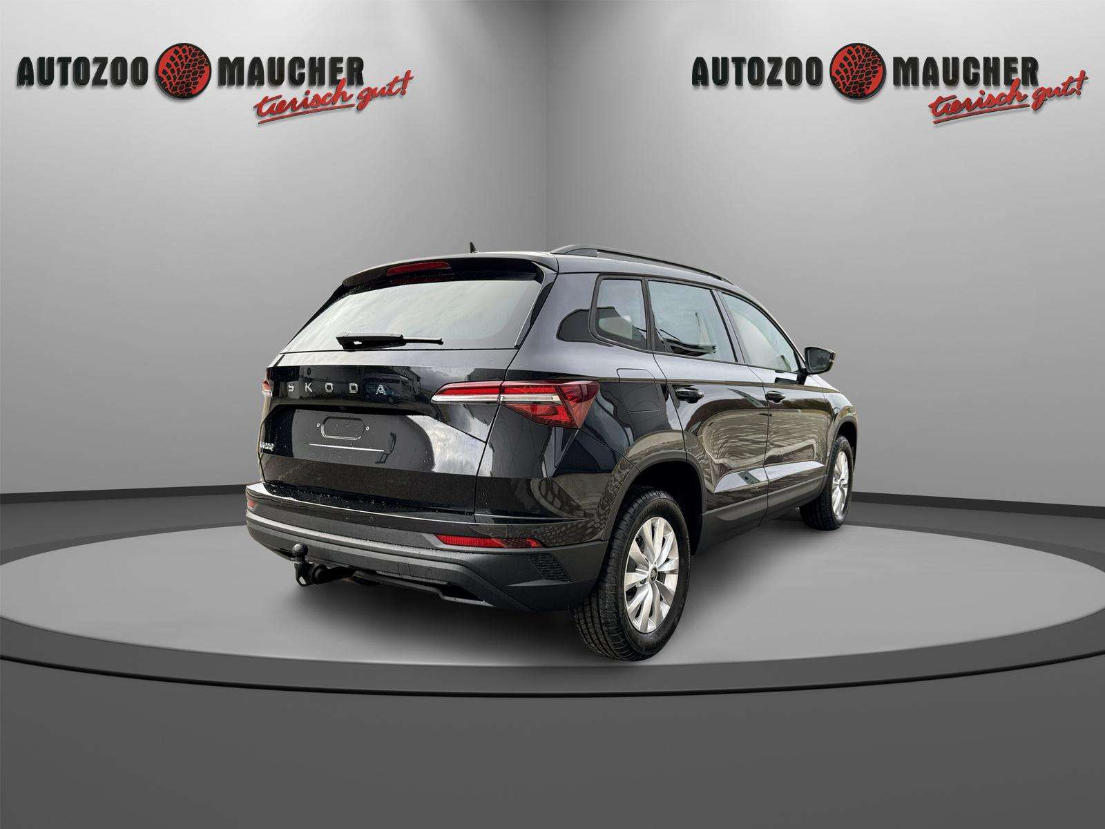 Fahrzeugbild eines Skoda Karoq