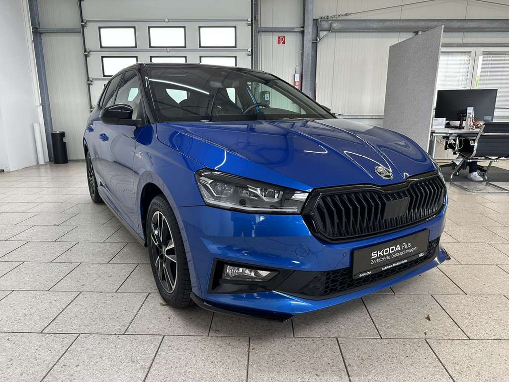 Fahrzeugbild eines Skoda Fabia