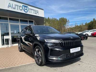 Bild Skoda Kodiaq