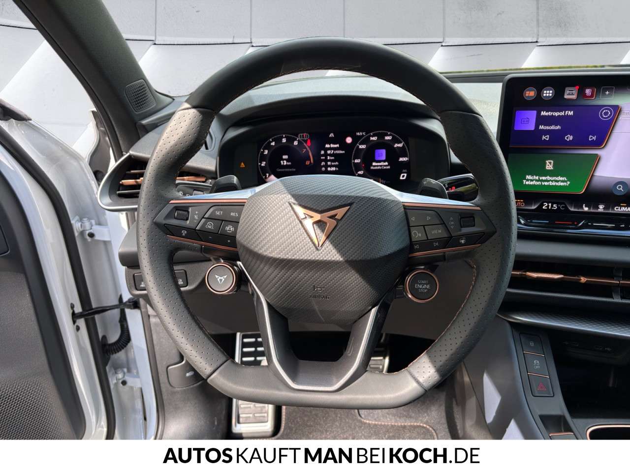 Fahrzeugbild eines CUPRA Terramar