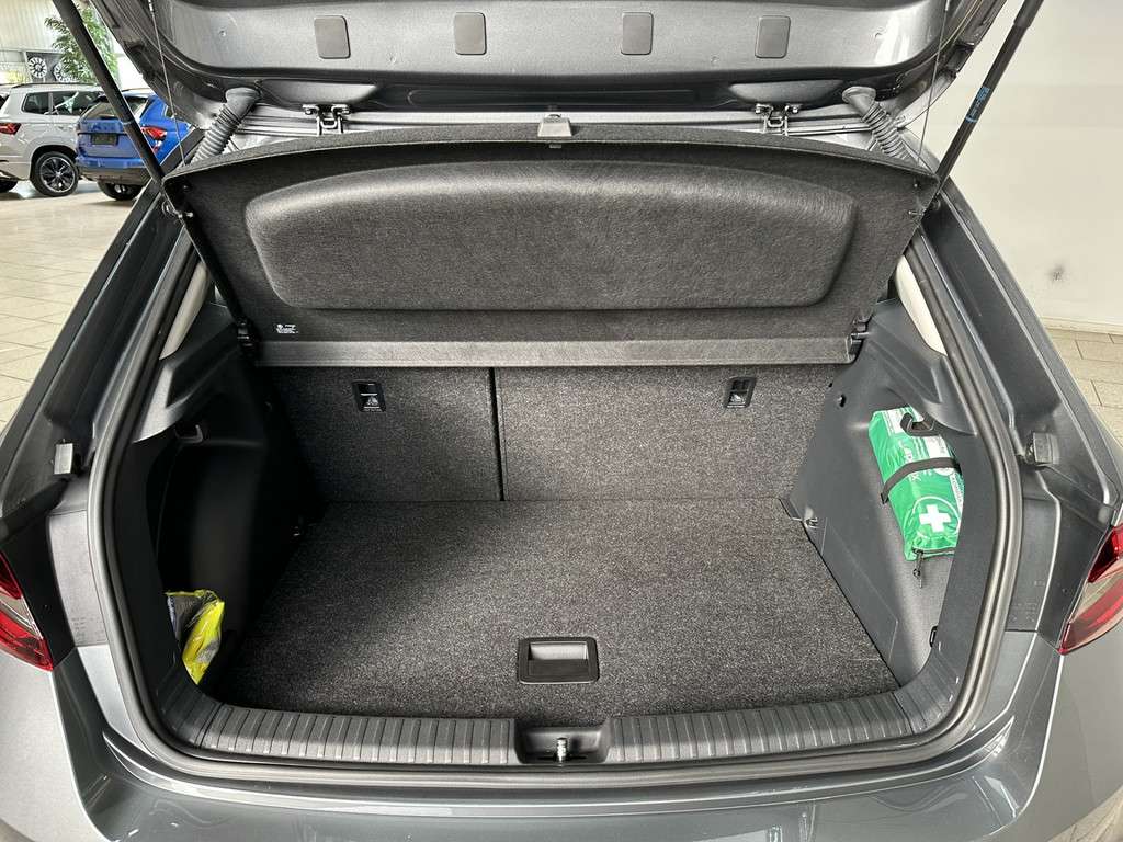 Fahrzeugbild eines Skoda Fabia