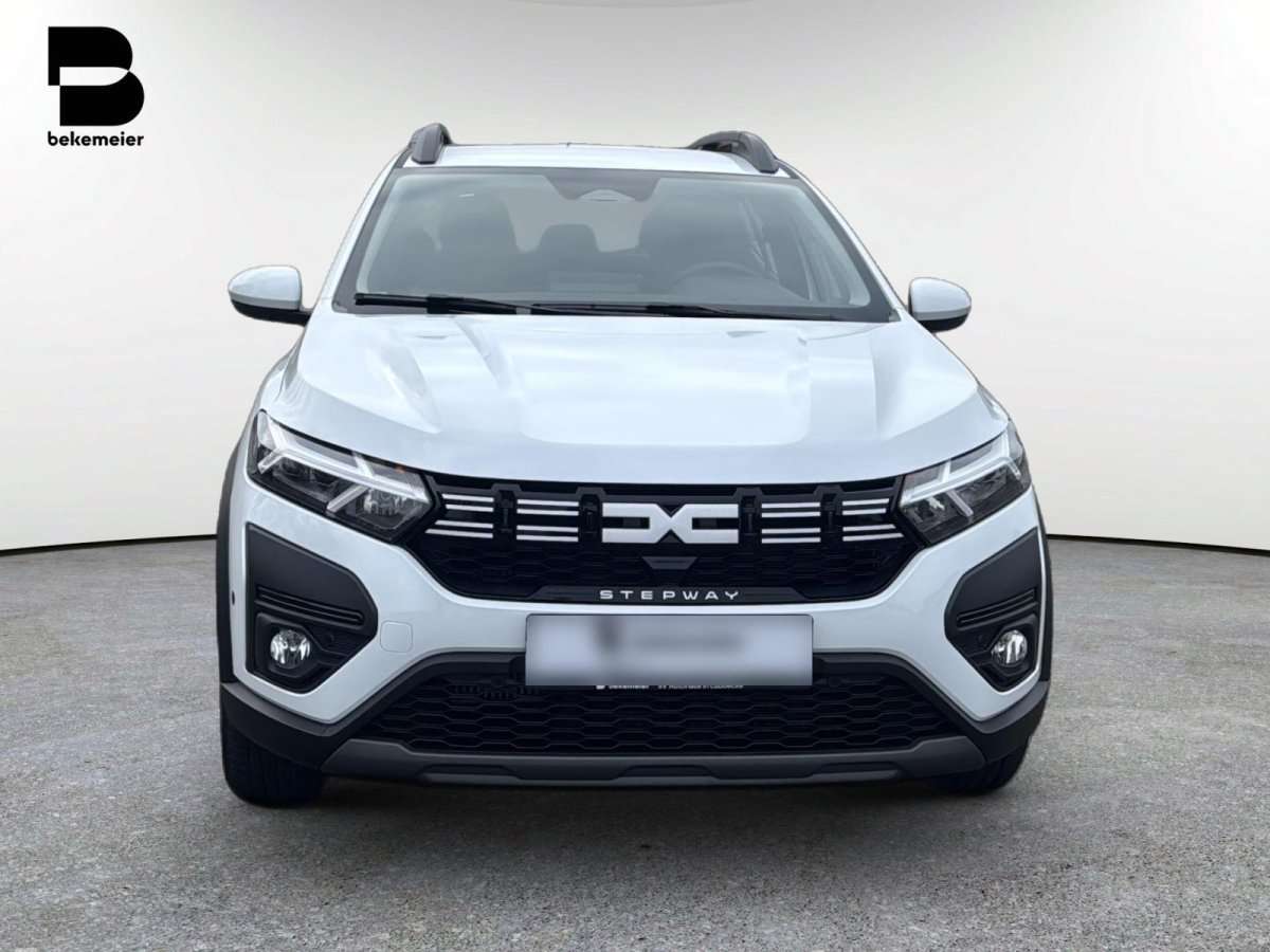 Fahrzeugbild eines Dacia Sandero