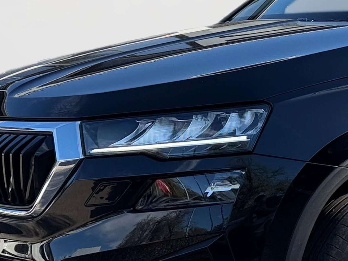 Fahrzeugbild eines Skoda Karoq