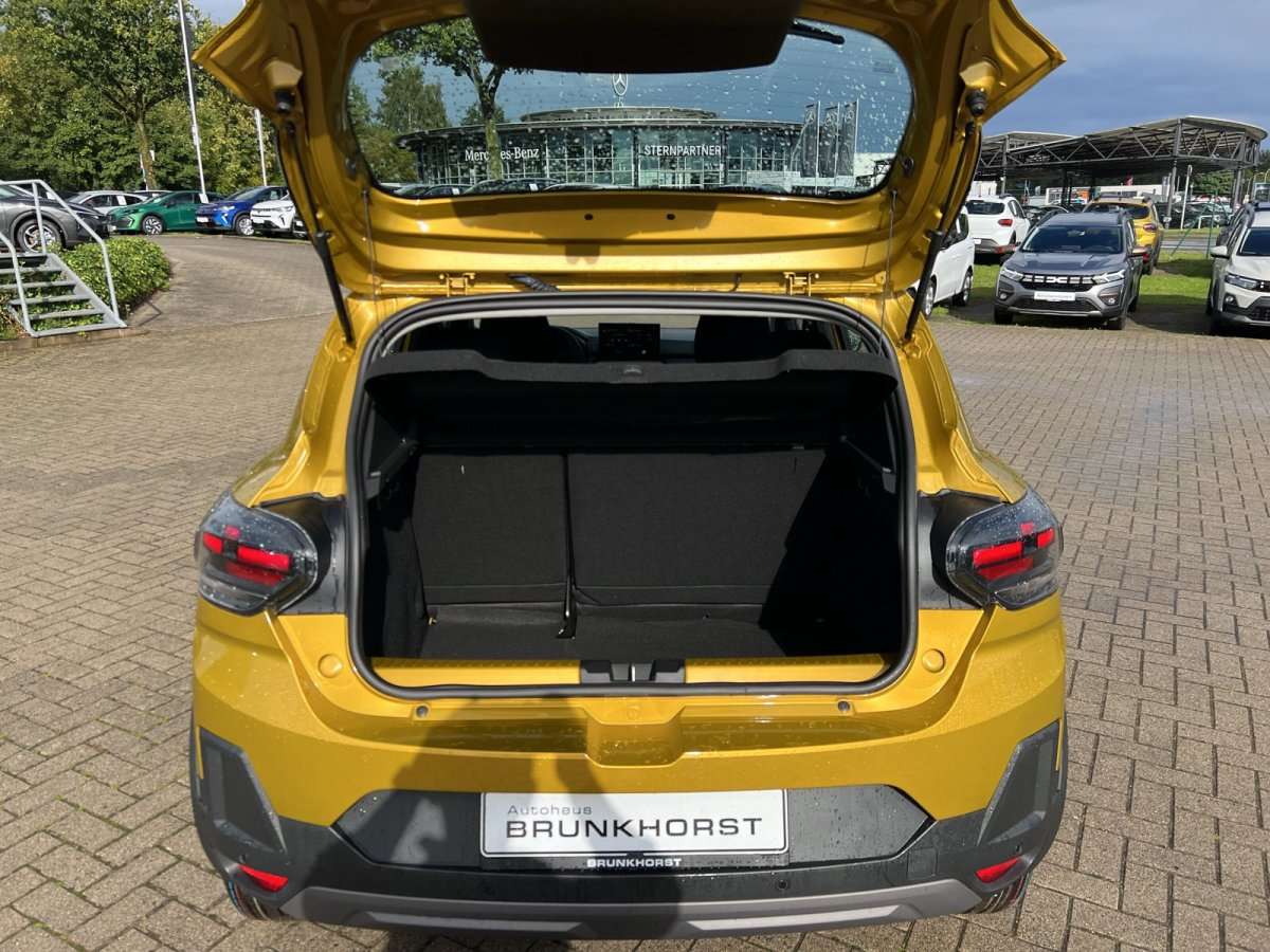 Fahrzeugbild eines Dacia Sandero