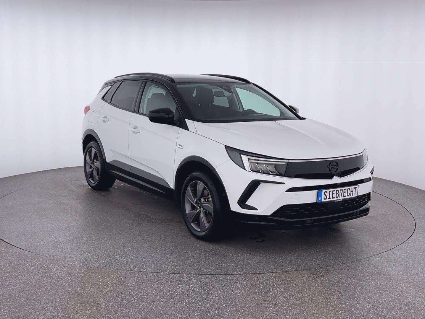 Fahrzeugbild eines Opel Grandland X