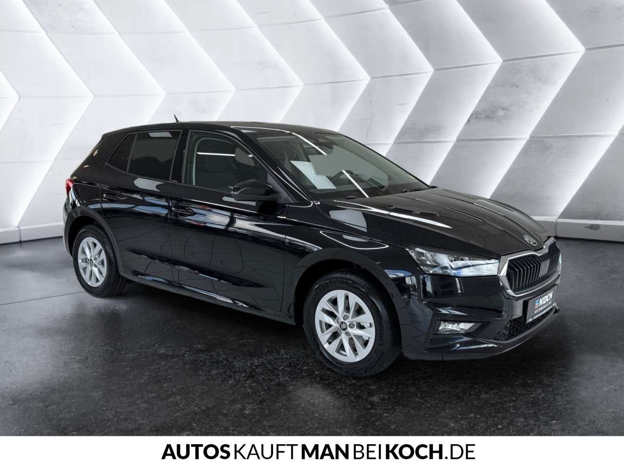 Fahrzeugbild eines Skoda Fabia