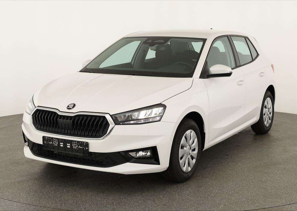 Fahrzeugbild eines Skoda Fabia