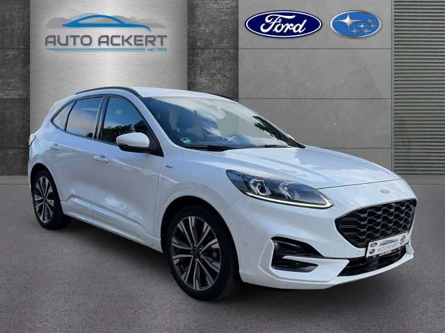 Fahrzeugbild eines Ford Kuga