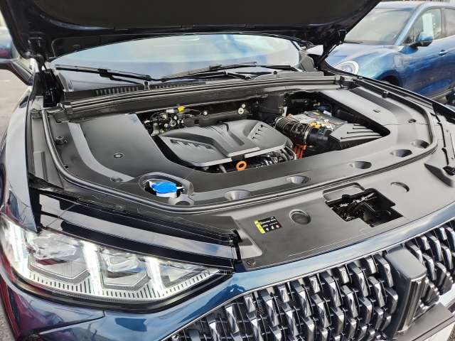 Fahrzeugbild eines GWM Wey 05