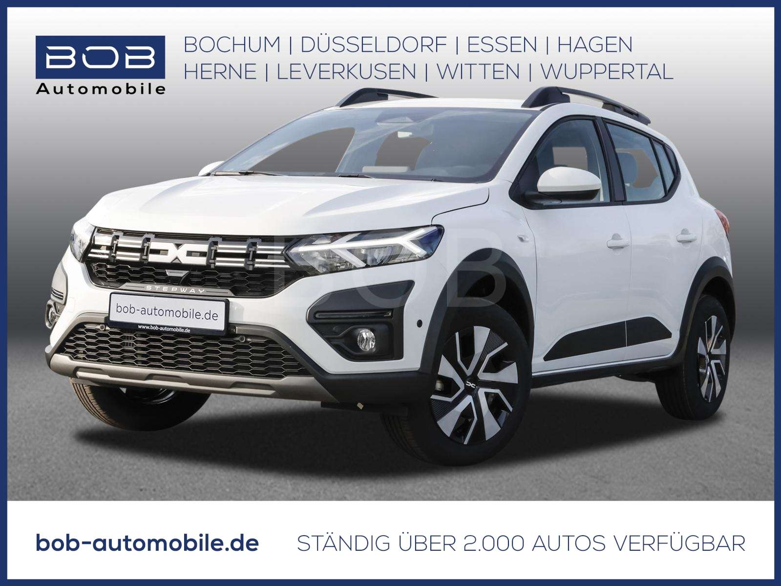 Fahrzeugbild eines Dacia Sandero