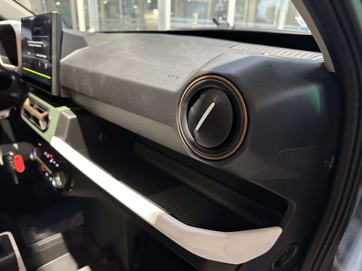 Fahrzeugbild eines Dacia Spring