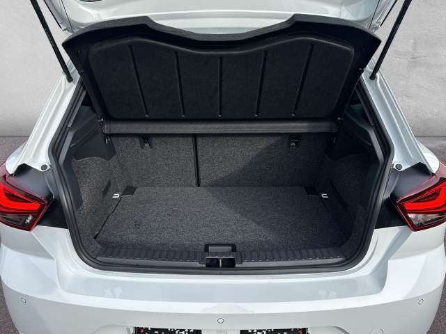 Fahrzeugbild eines SEAT Ibiza