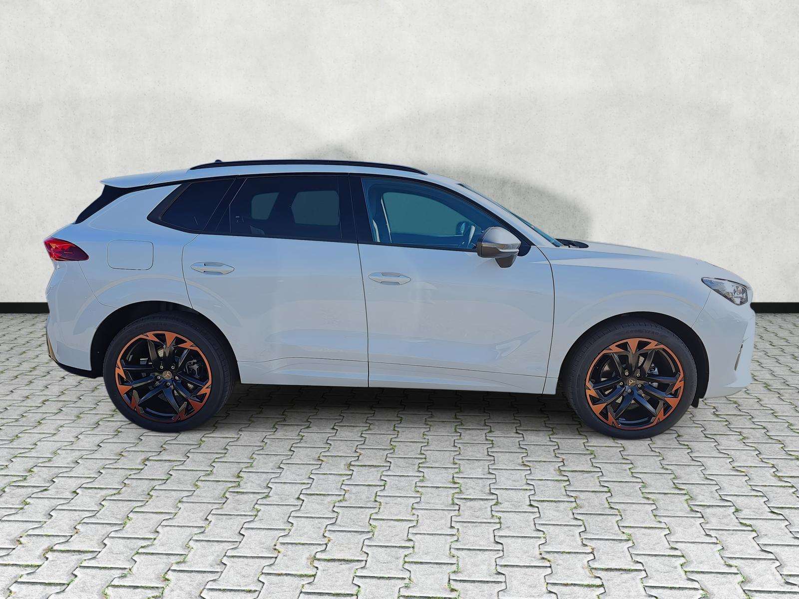 Fahrzeugbild eines CUPRA Terramar