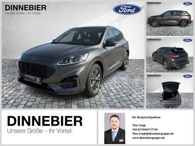 Bild Ford Kuga