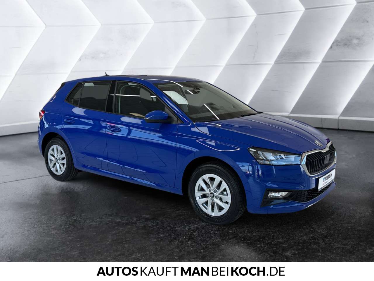 Fahrzeugbild eines Skoda Fabia