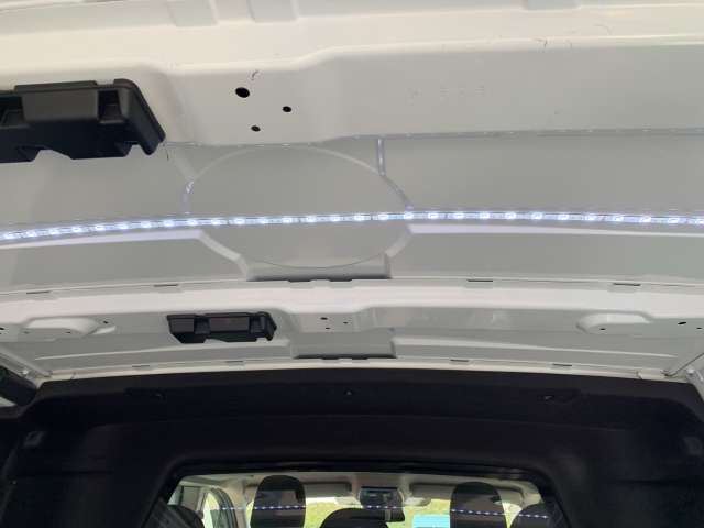 Fahrzeugbild eines Renault Trafic