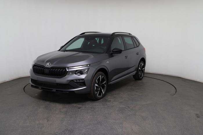 Fahrzeugbild eines Skoda Kamiq