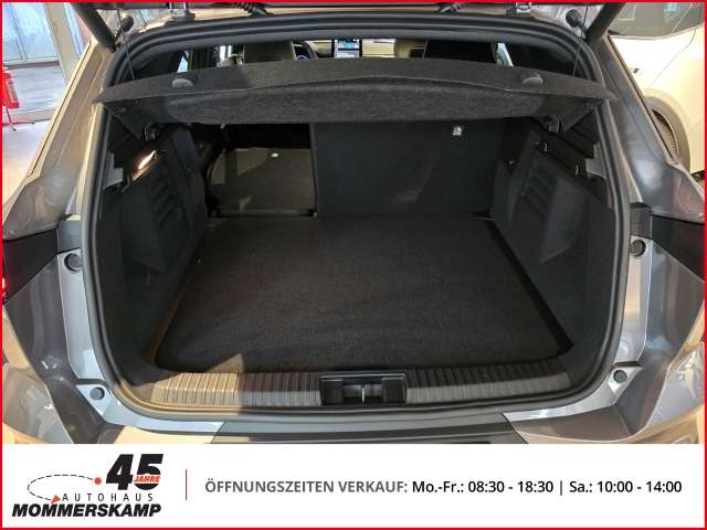 Fahrzeugbild eines Mitsubishi Grandis