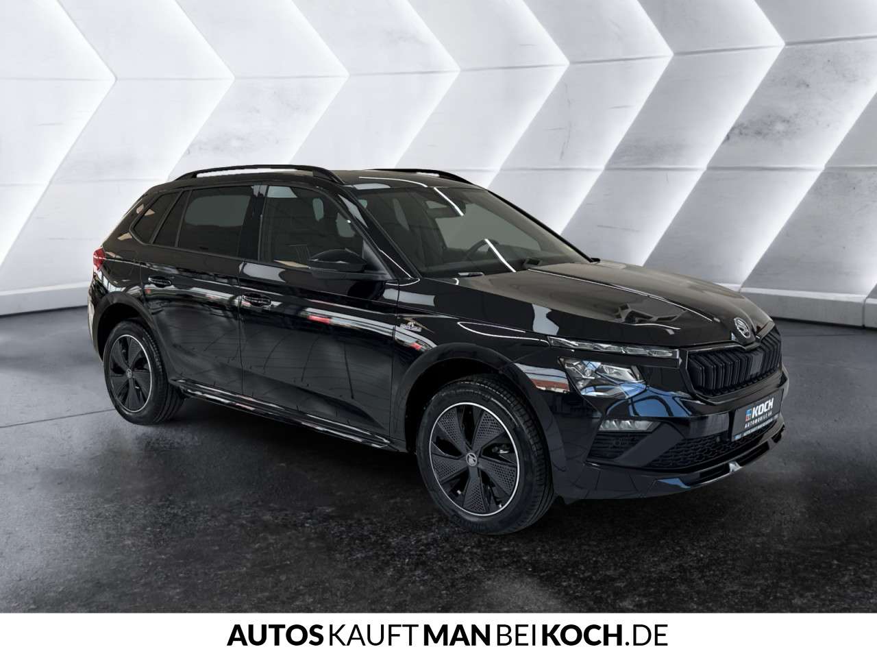 Fahrzeugbild eines Skoda Kamiq