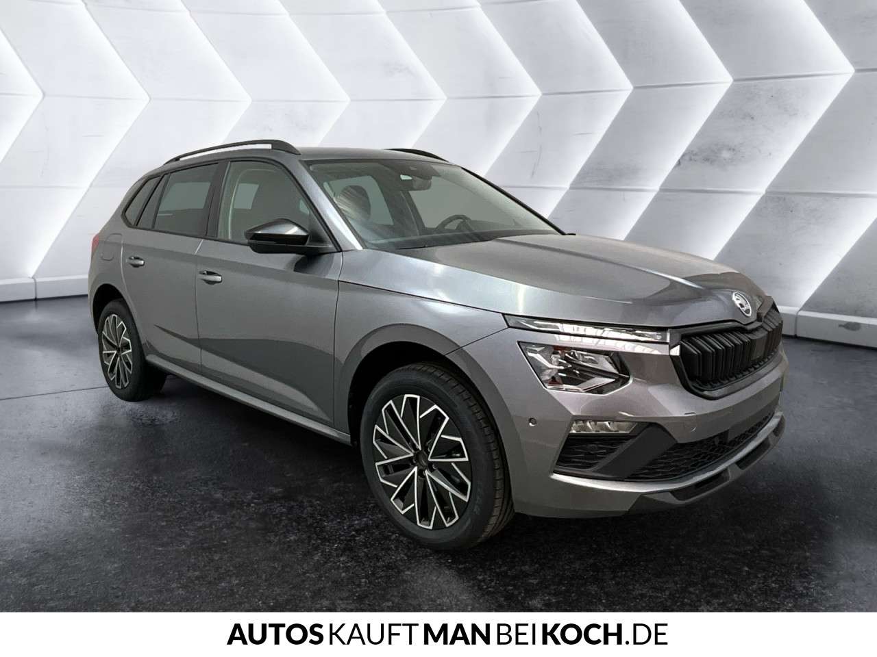 Fahrzeugbild eines Skoda Kamiq