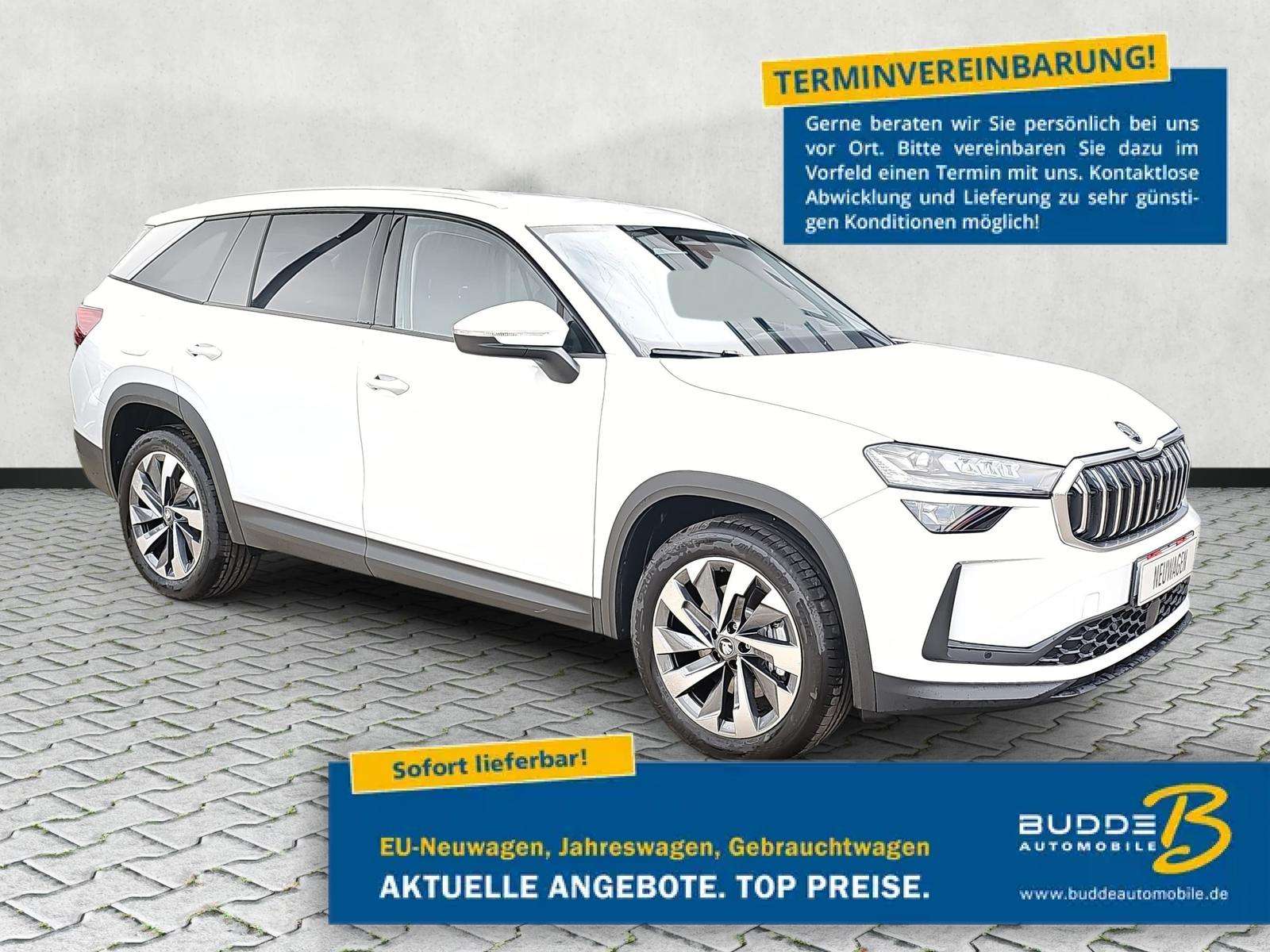 Fahrzeugbild eines Skoda Kodiaq