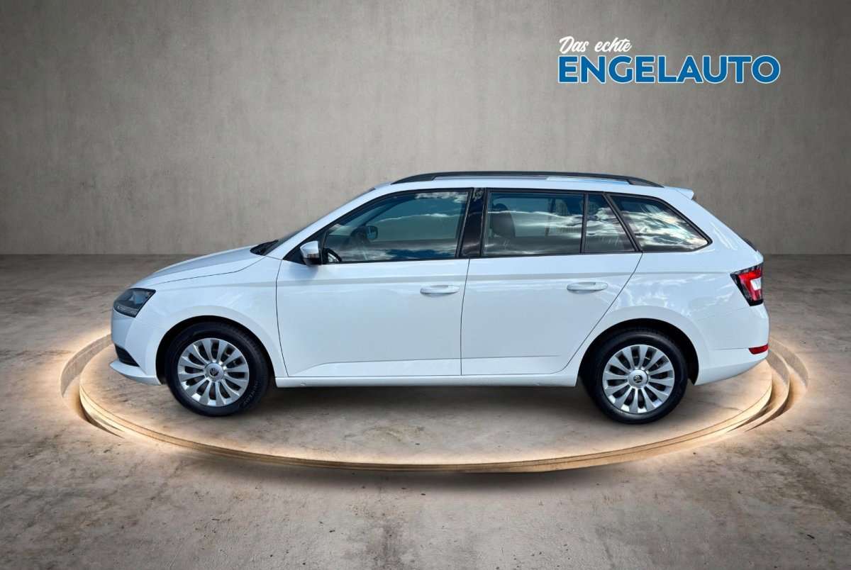 Fahrzeugbild eines Skoda Fabia