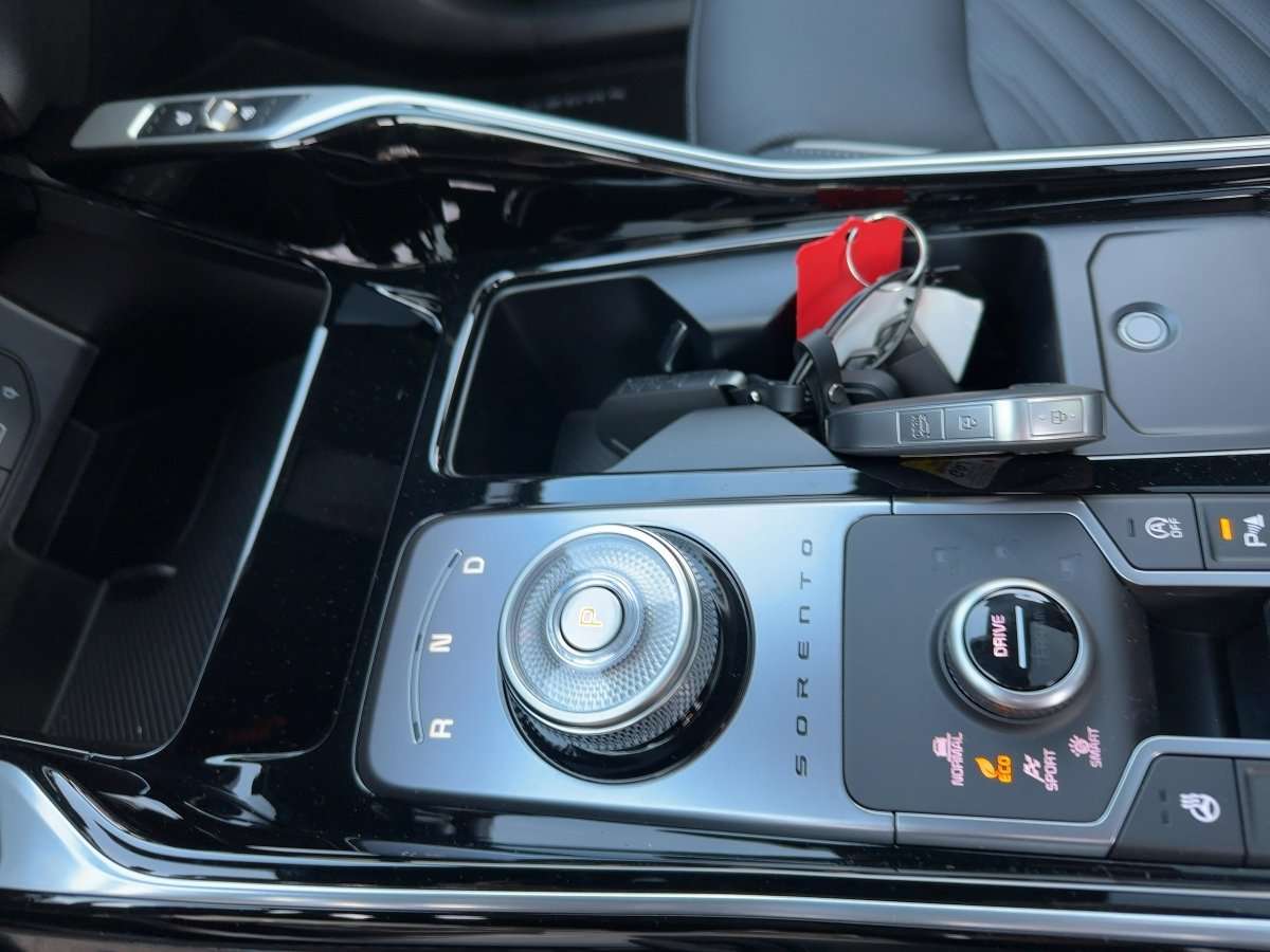 Fahrzeugbild eines Kia Sorento