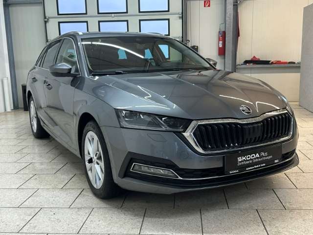 Fahrzeugbild eines Skoda Octavia
