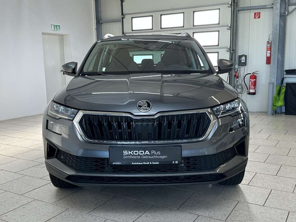 Fahrzeugbild eines Skoda Karoq
