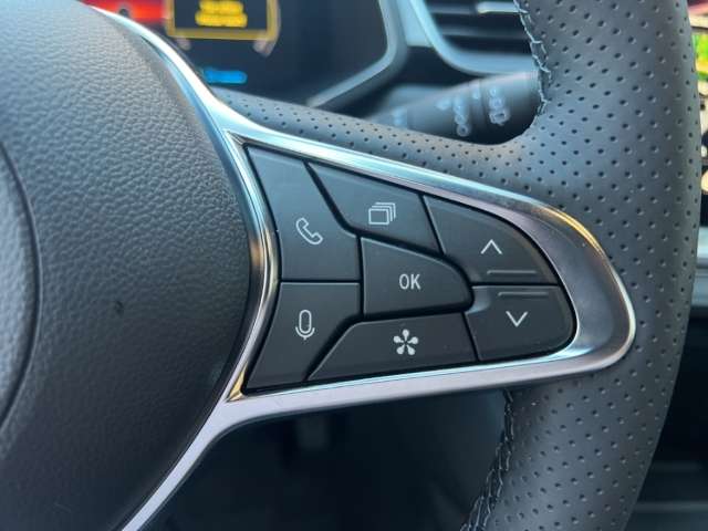 Fahrzeugbild eines Mitsubishi Grandis