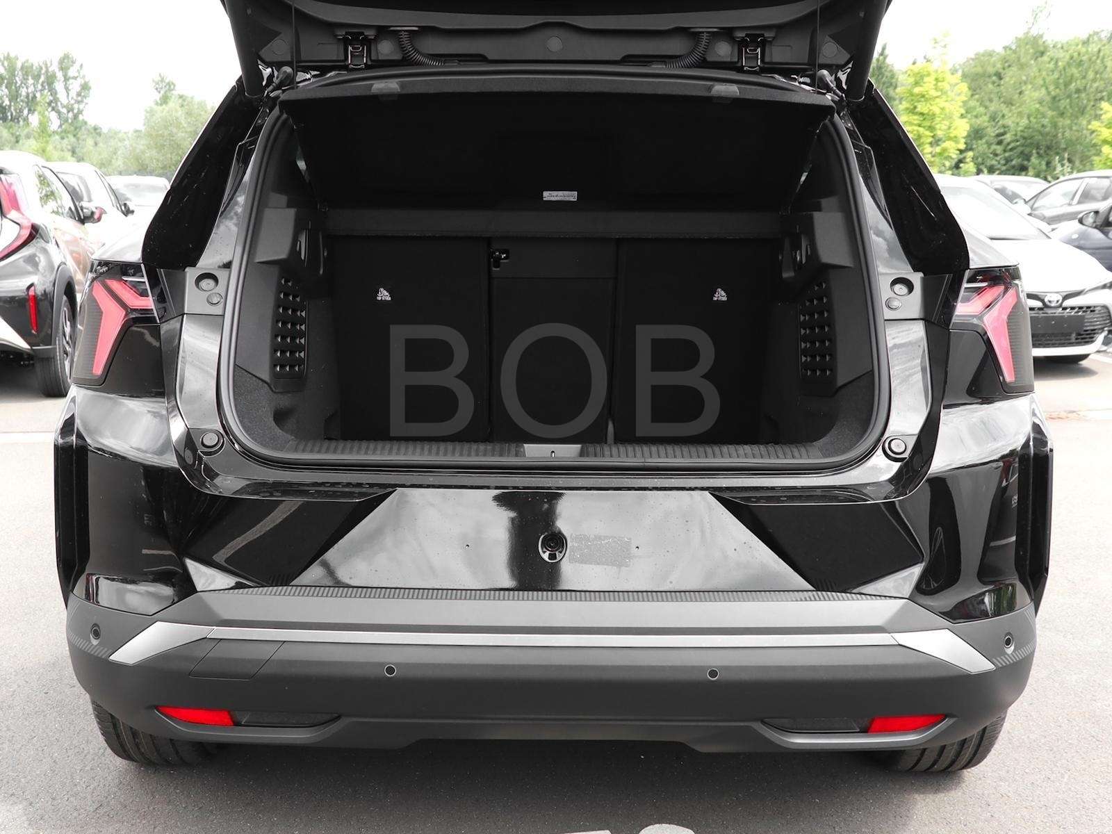 Fahrzeugbild eines Renault Scénic