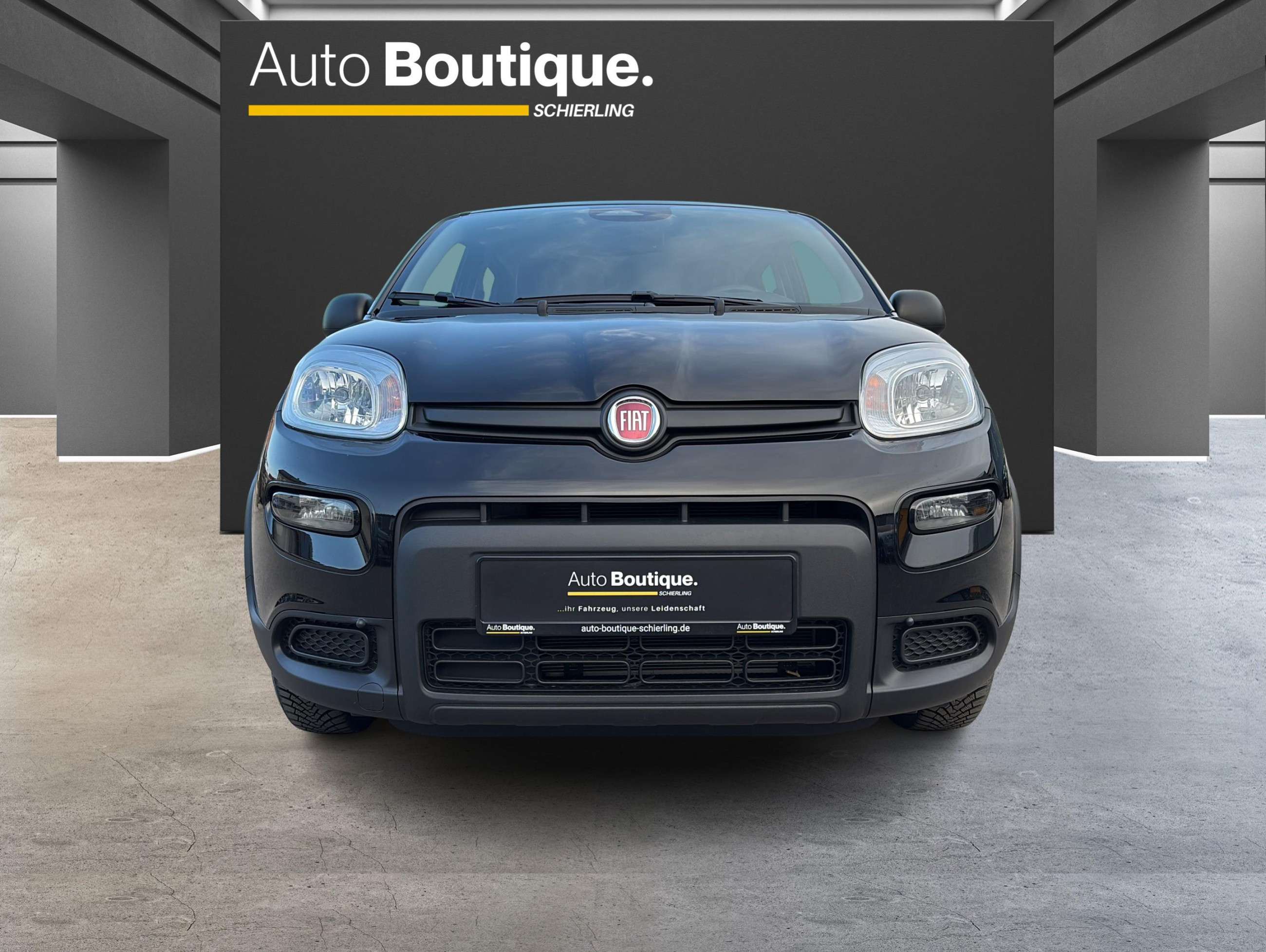 Fahrzeugbild eines Fiat Panda