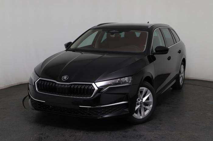 Fahrzeugbild eines Skoda Octavia
