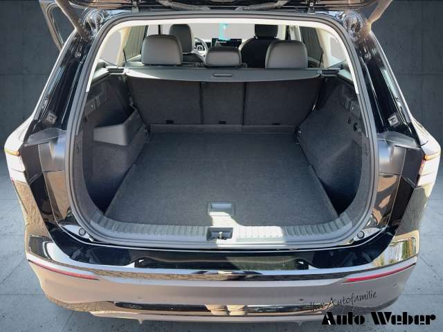 Fahrzeugbild eines Volkswagen Tayron