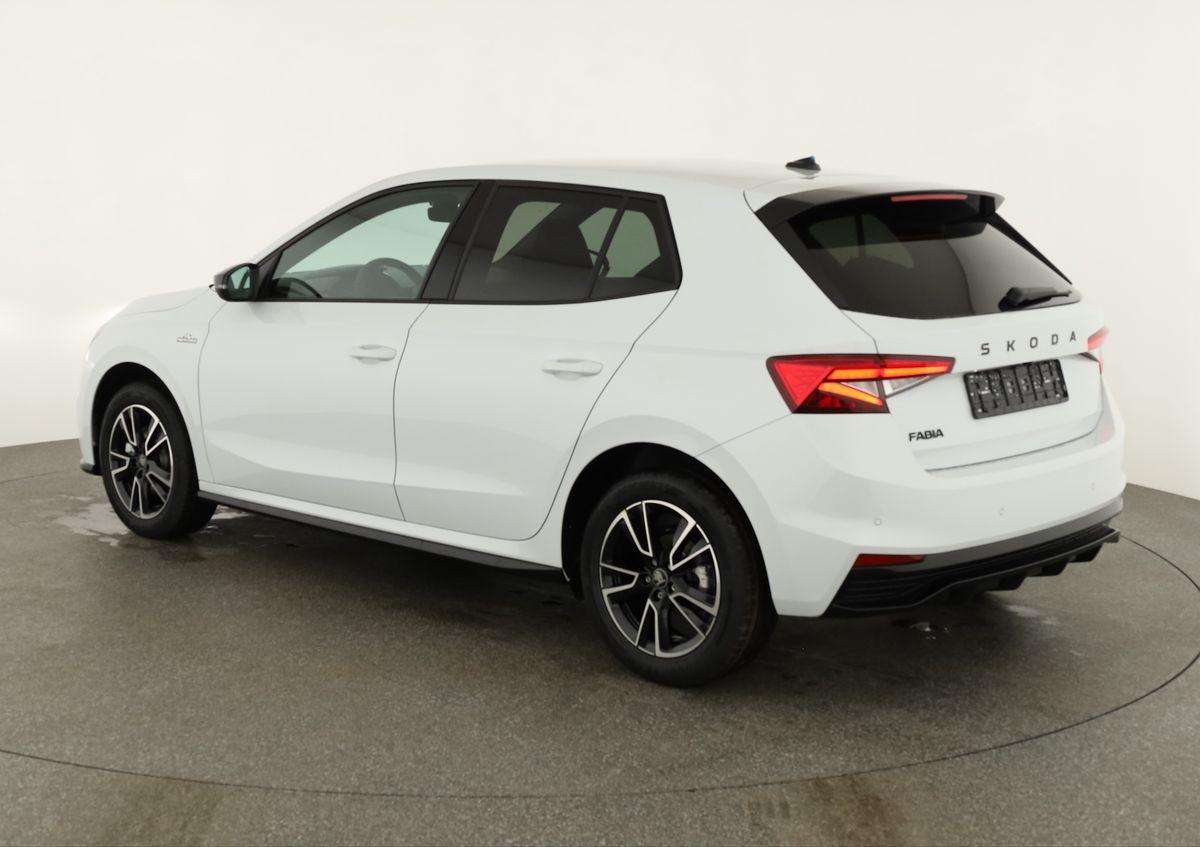 Fahrzeugbild eines Skoda Fabia