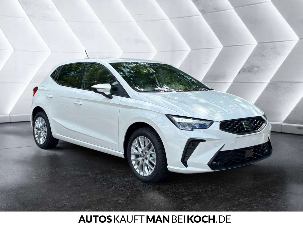 Fahrzeugbild eines SEAT Ibiza