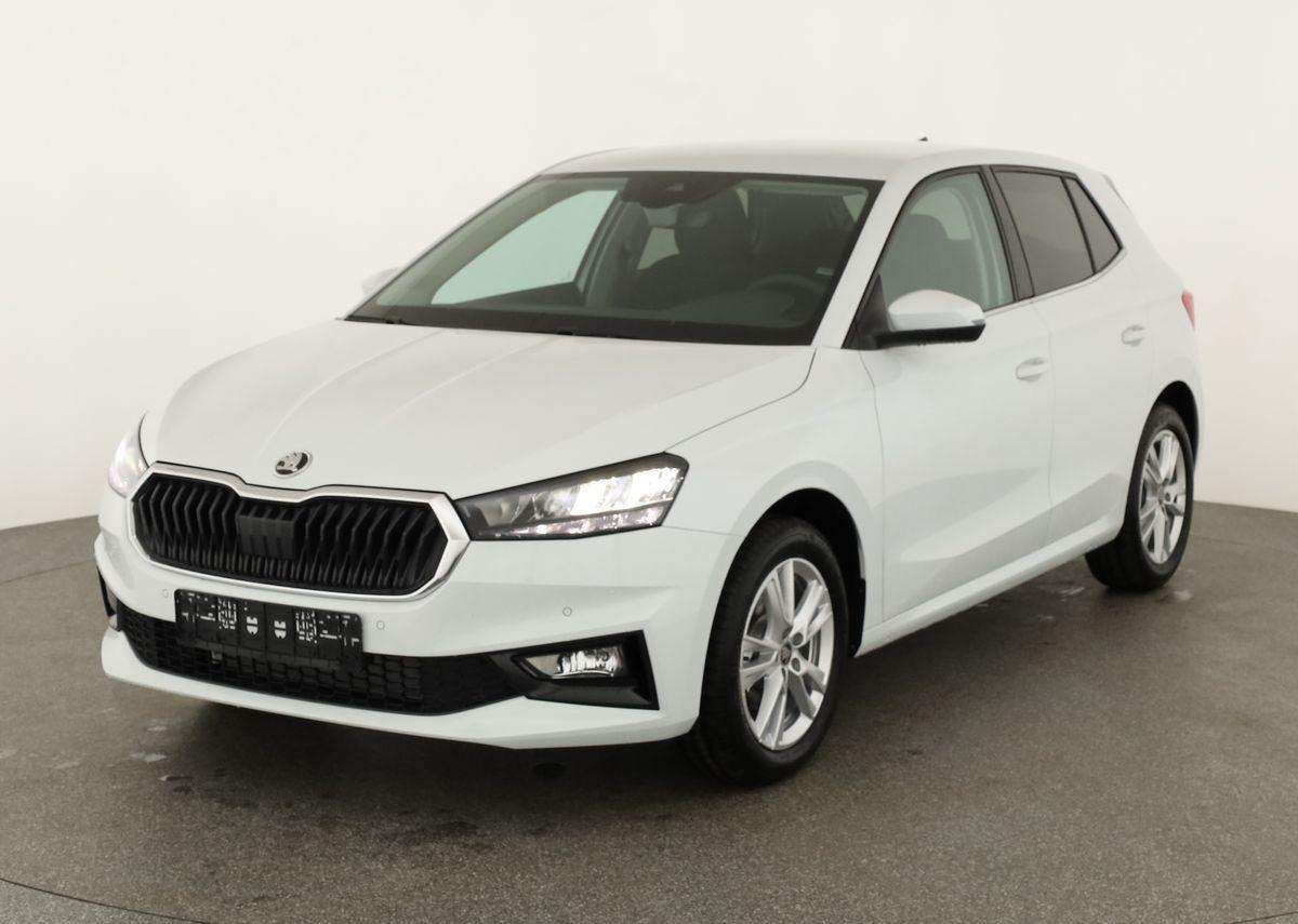 Fahrzeugbild eines Skoda Fabia